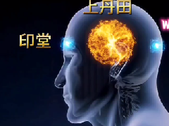 <font color='#FF0000'>气功小周天的运行演示视频（小周天</font>