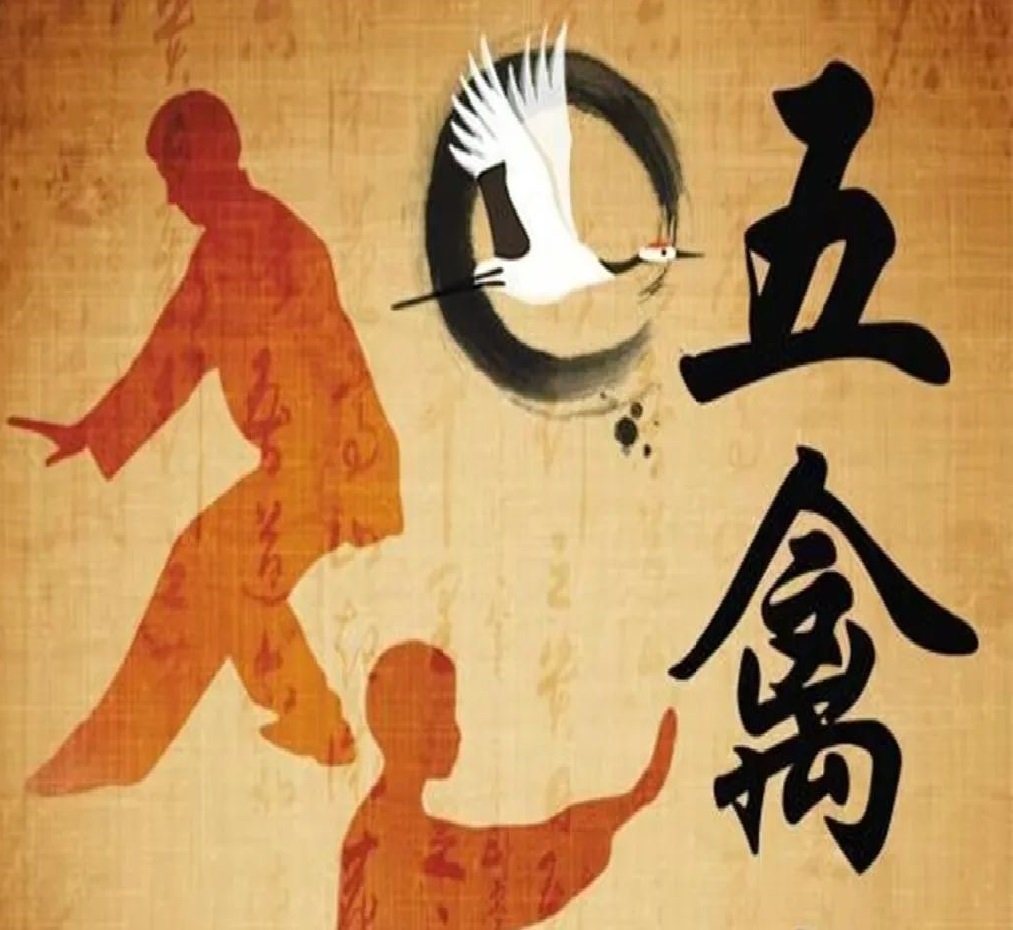 五禽戏演示视频