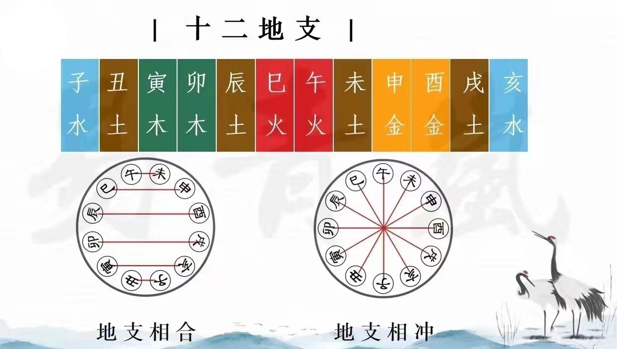 十二地支 相冲 相合图
