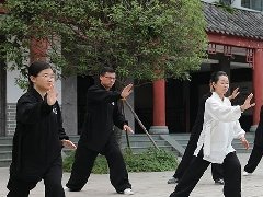 论交媾（心肾相交 龙虎交媾）