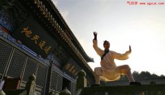 桩功的妙处：遍体气血任流行