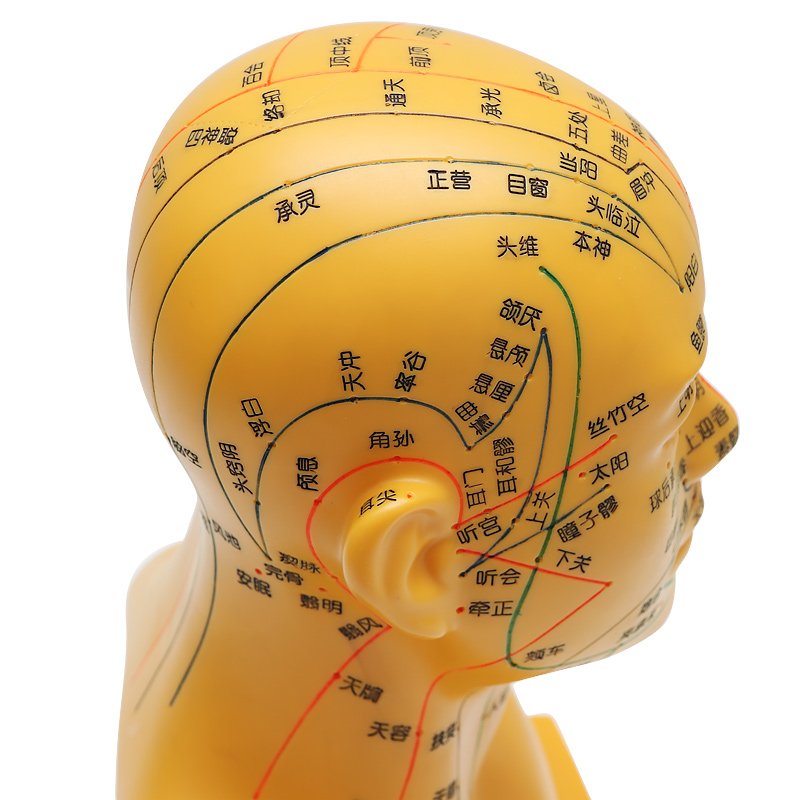 开启九窍才能连接天地能量